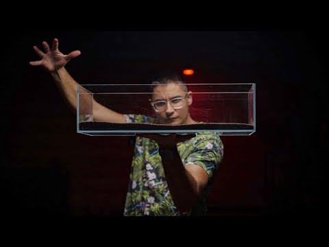 My fav nano aquarium size - Pros and Cons