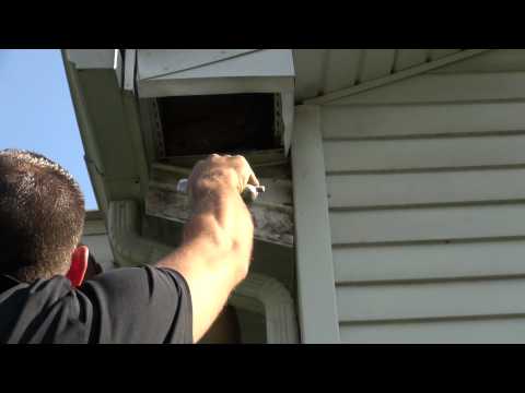 YouTube video about: How to remove birds from soffit?