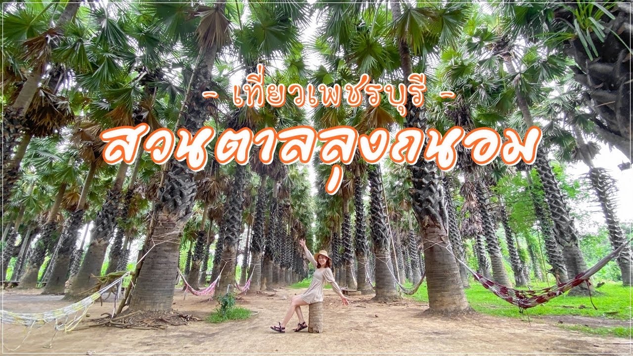 สวนตาล