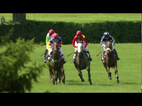 PE, 25. 5. 2019, 2. dostih - Cena mezinárodního festivalu Šachu a her Czech Open (hdcp)