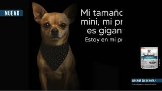 Mi Prime es gigante.