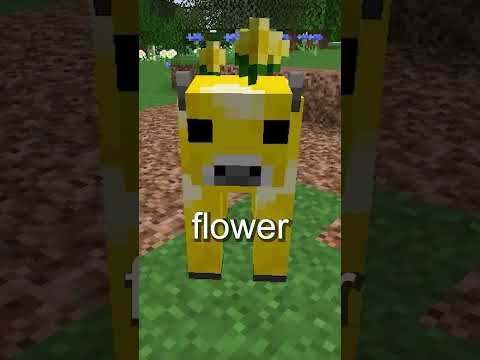 The Crazy Lore Of The Moobloom In Minecraft