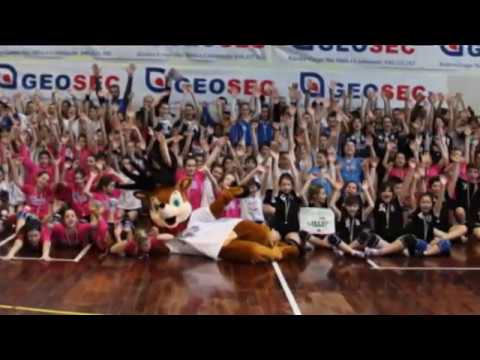 Torneo Galaxy Collecchio 2016-17