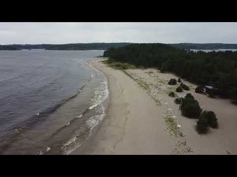 Something on an inexperienced