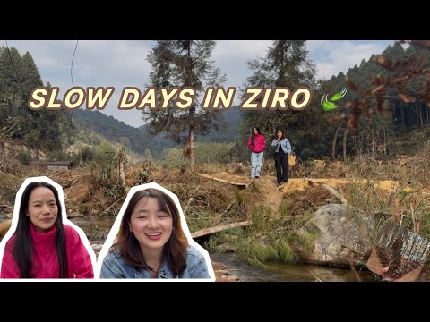 Just Roaming, talking & Living the Moment 🌿| ziro vlog #ziro #vlog 