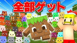 【つらすぎる】41種類のブロックペットを集めるまで終われません【マイクラ】