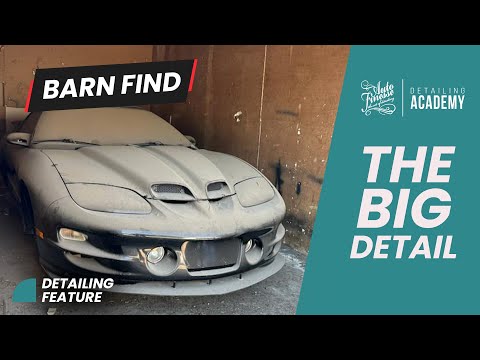 Auto Finesse - The Big Detail USA - VLOG