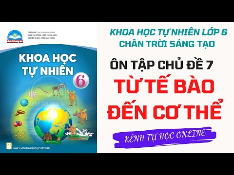 Ôn Tập Chủ Đề 7 Từ Tế Bào Đến Cơ Thể - KHTN 6