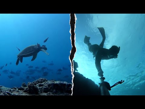 Sharks Cove for beginner snorkelers? | Snorkelers Guide to Sharks Cove and Three Tables