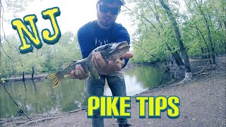 PIKE fishing the PASSAIC river!
