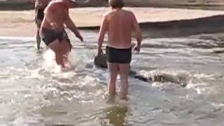 Ловля сомов в астрахани ружьем подводным