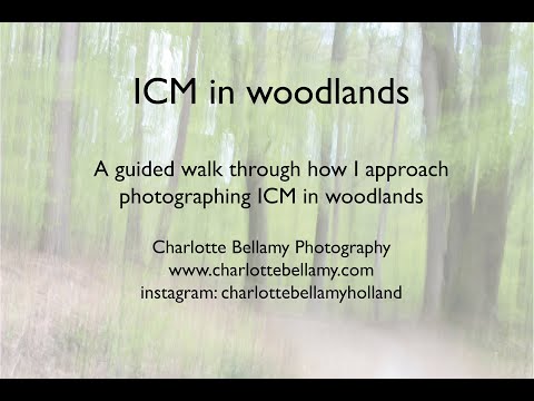 ICM in a woodland - a walk through an ICM woodland photoshoot by Charlotte Bellamy