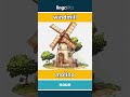 windmill - molino video thumbnail