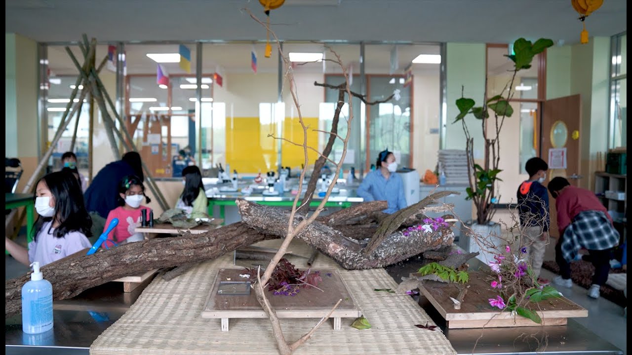 Elementary Science | The Environment as Curriculum