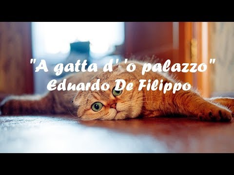 "A gatta d' 'o palazzo" Eduardo De Filippo