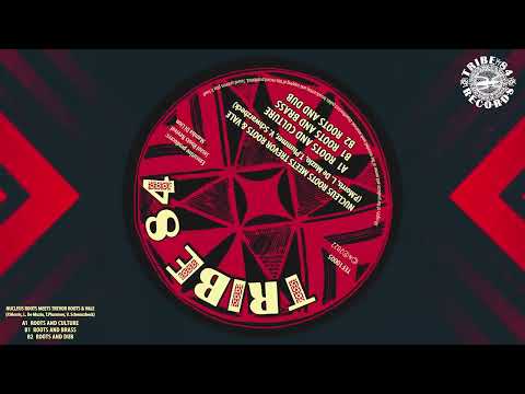 Nucleus Roots feat. Trevor Roots - Roots & Culture