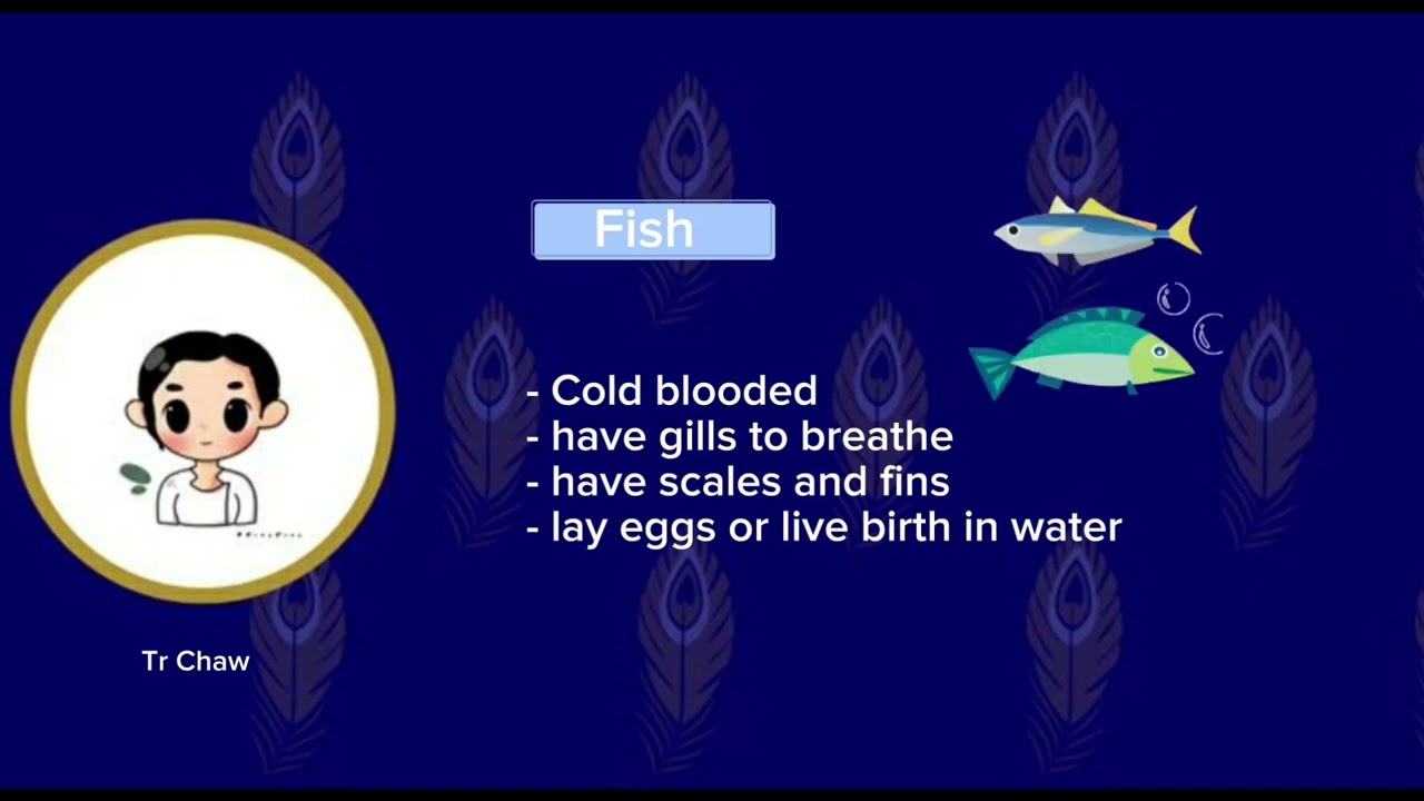 Lesson 14 - Classification of Vertebrates