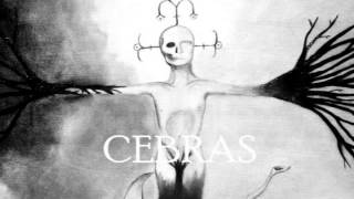 Cebras (Alaska y Dinarama) Cover