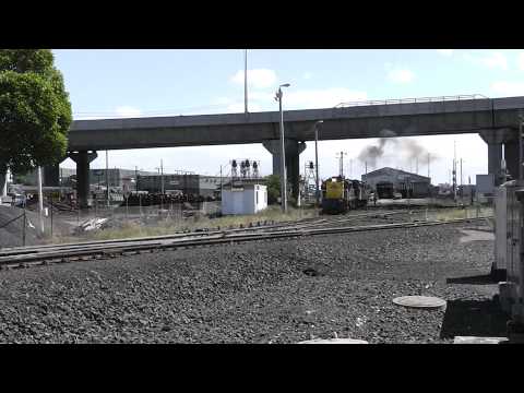 48s36,48s34,S300,GM36 shunting at South Dynon