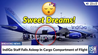 IndiGo Staff Falls Asleep in Cargo Compartment of Flight