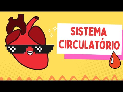 Circulatory/Cardiovascular System - Fun - Elementary School