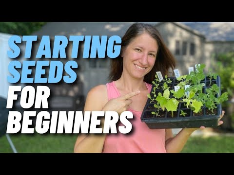 SEED STARTING FOR BEGINNERS