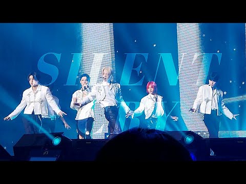 220430 스트레이키즈 'Silent Cry' 직캠｜2nd World Tour MANIAC in SEOUL｜Straykids fancam
