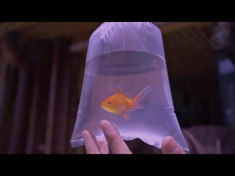 Miss You Now - abeelwalker