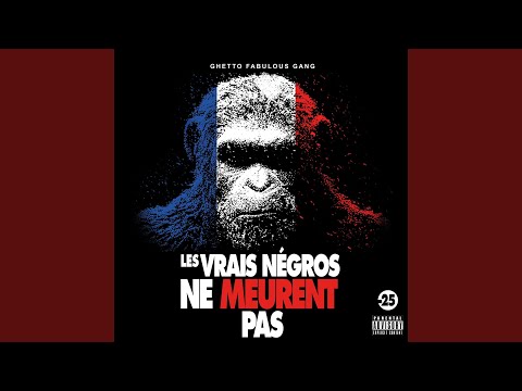 Les vrais mogos ne meurent pas (feat. Eto)
