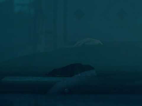 FFF 2021 - Trailer - Wild Grass