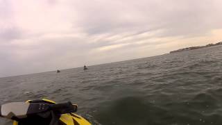 preview picture of video 'Wildwood NJ Dolphins'