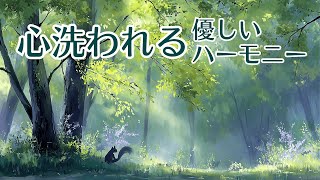 Download lagu 【1/fゆらぎ】涙があふれる森の静寂。疲れた脳を休めるチェロとピアノ | Healing Forest Cello & Piano mp3