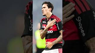 Jardim manda recado para Ancelotti sobre Pedro! #Pedro #SeleçãoBrasileira #Flamengo