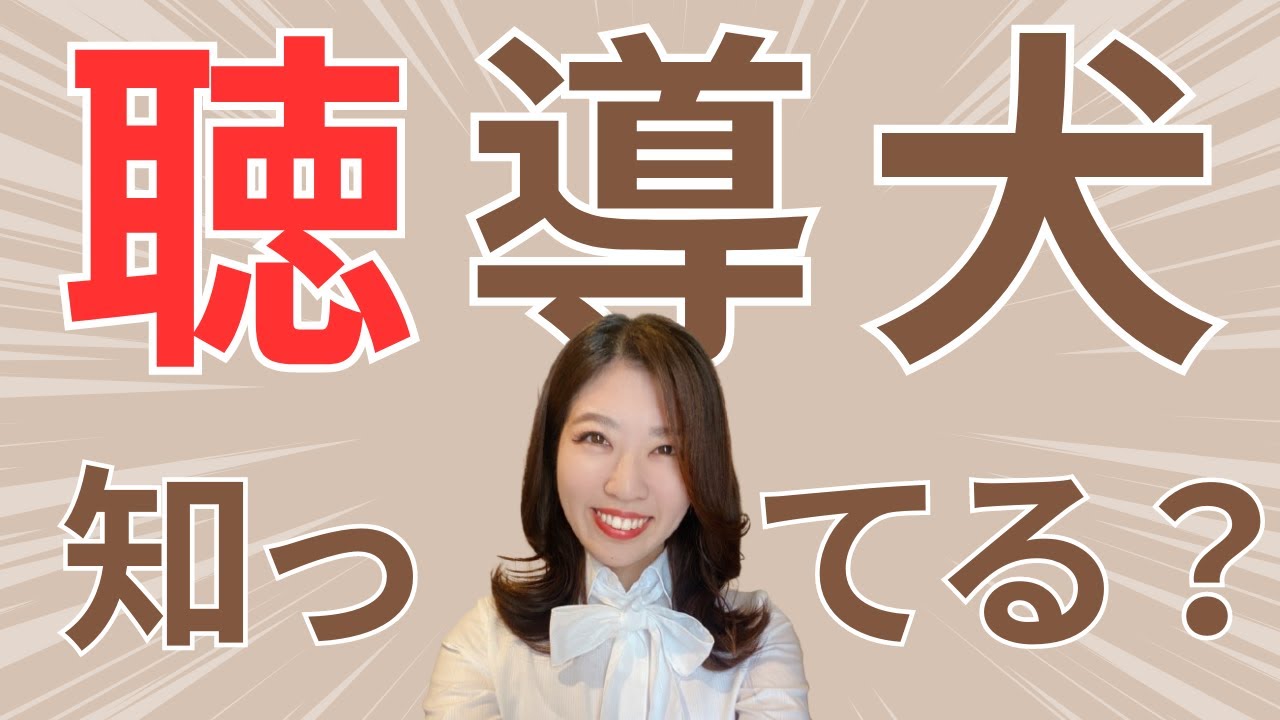 【聴導犬ユーザーから学んだ】補助犬にまつわる色々な話！