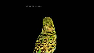 Andrew Bird - Scythian Empire ( 2007 )