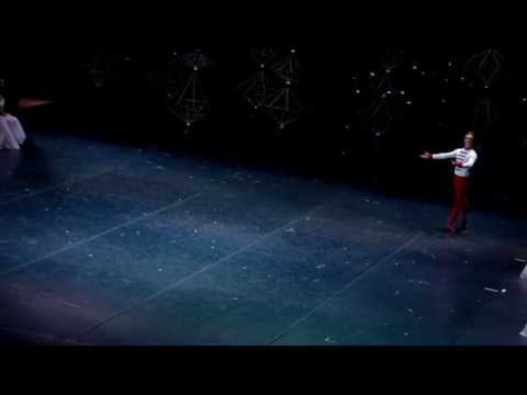 Щелкунчик Вариация Щелкунчика-принца