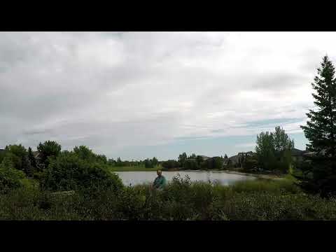 Dovercourt Park - Linden Ridge