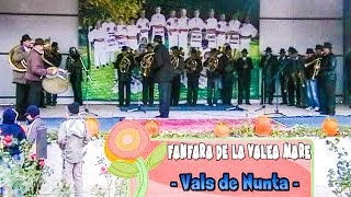 preview picture of video 'Fanfara de la Valea Mare - Vals de Nunta'