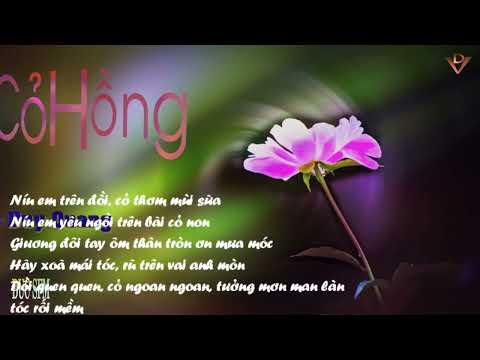 Thể hiện bởi Duy Quang