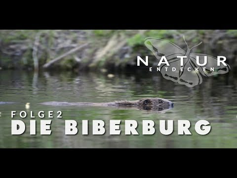 Discovering Nature - Episode 2 - The Beaver Lodge