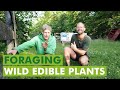Learn to Forage Wild Edibles with Sam Thayer and Robin Greenfield