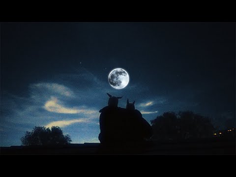 Melkin - Cooped Up (Official Music Video)