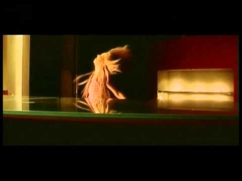 IVANA BRKIĆ - KORA POD NOGAMA (OFFICIAL VIDEO)