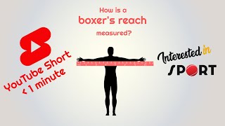 How is a boxer