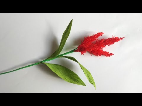 How To Make Cockscomb Paper Flowers| Coloured Paper Floral art