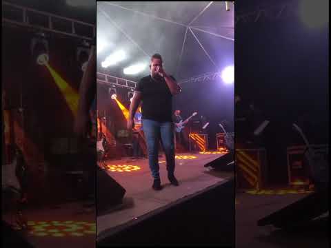 Aniversário de varjão - Go