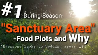 Making Your Food Plots your #1 Sanctuary Area and Why