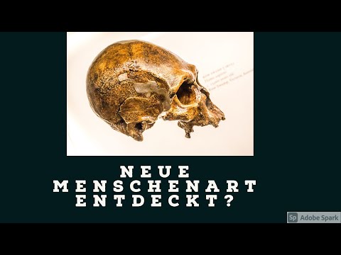 Neue Menschenart entdeckt? Wissensupdate