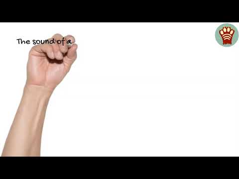 Animal Sounds for Kids + More
