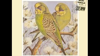 Blancmange - Don't Tell Me (Extended Mix) 1984